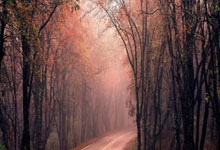 包含阿森纳将在北伦敦德比中挑战热刺的词条